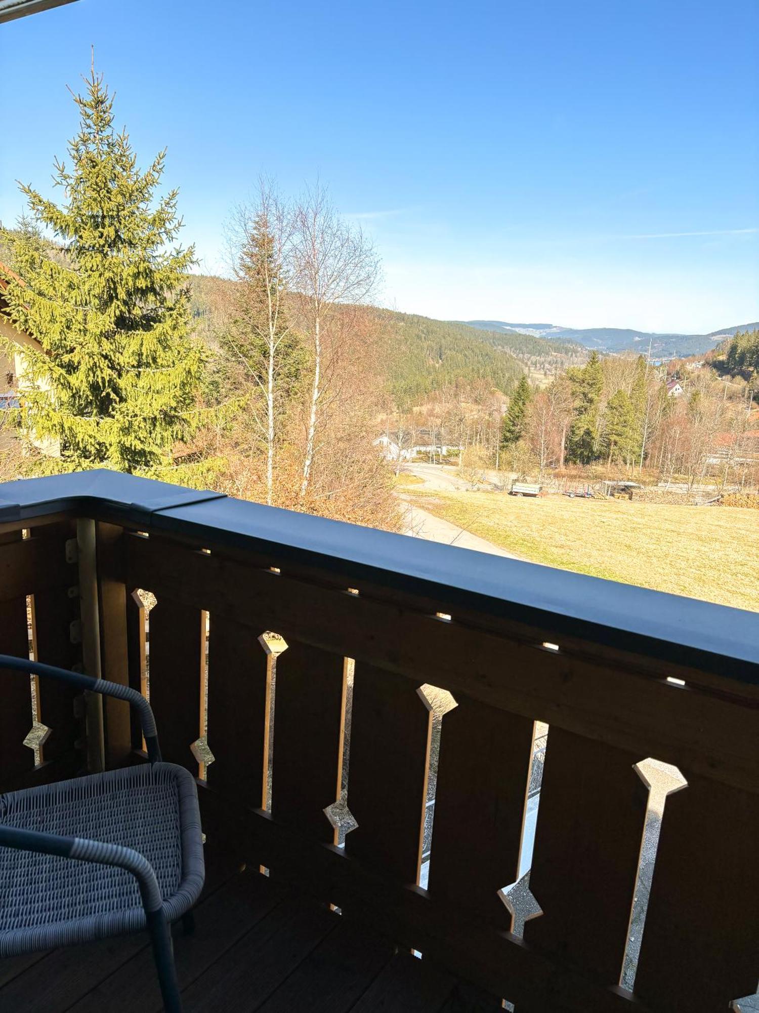 Schwarzwald-Chalet Feldberg Фельдберг Экстерьер фото