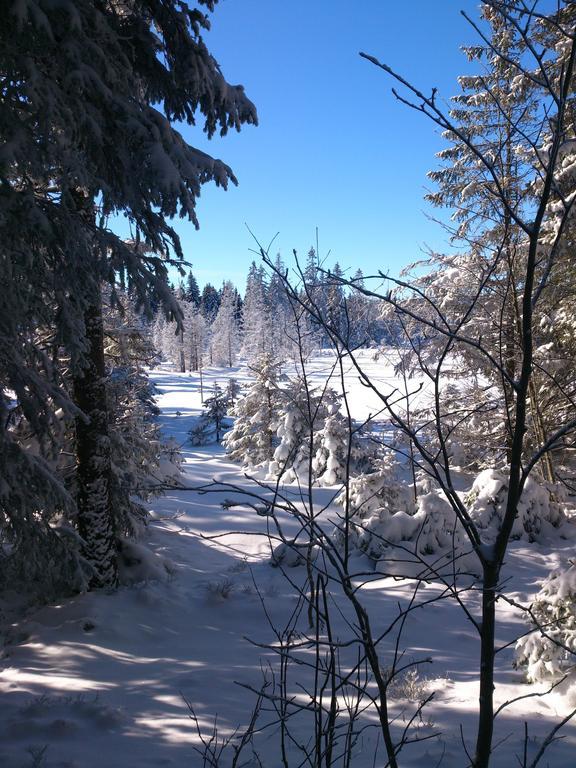 Schwarzwald-Chalet Feldberg Фельдберг Экстерьер фото