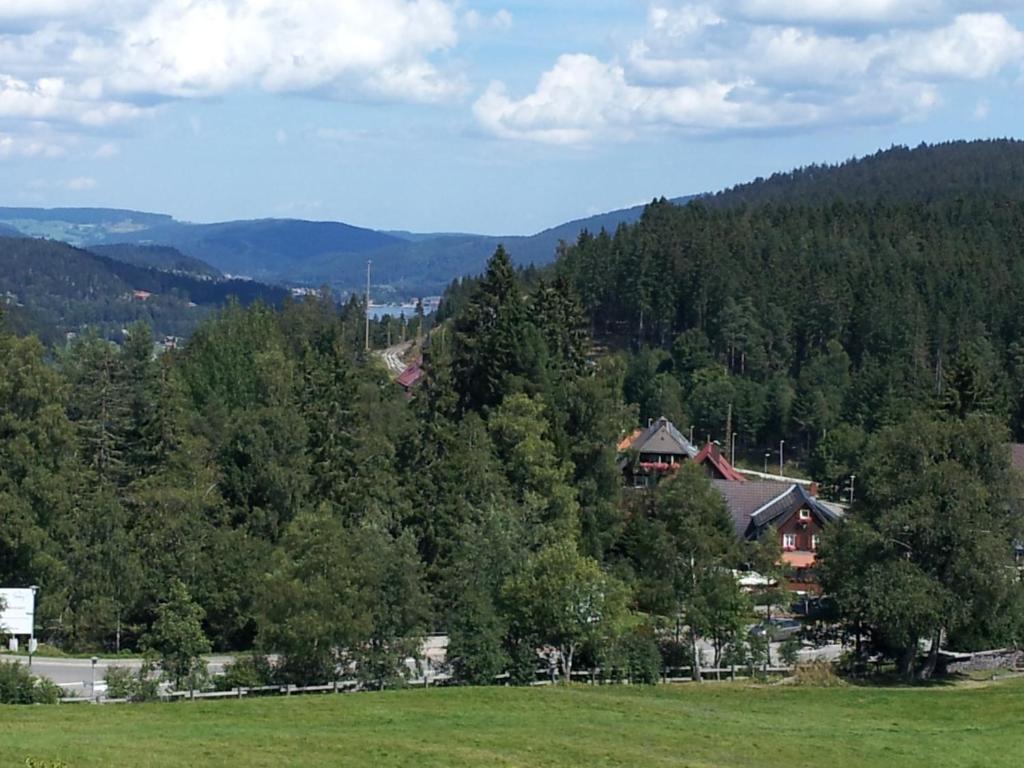 Schwarzwald-Chalet Feldberg Фельдберг Экстерьер фото